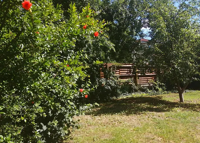Holiday home Rakos-Patak Camper Home Garden & Free Parking *