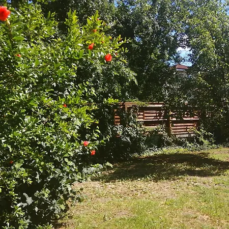 Vakantiehuis Rakos-patak Camper Garden & Free Parking *