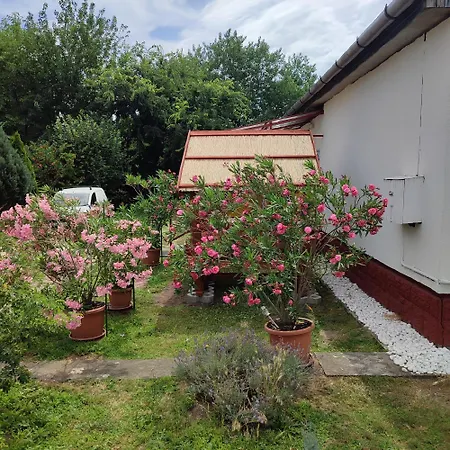 Rakos-patak Camper Garden & Free Parking