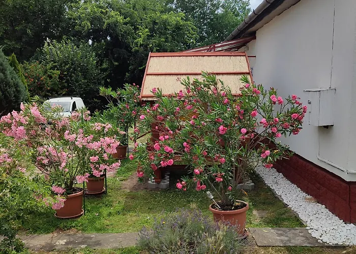 Rakos-patak Camper Garden & Free Parking