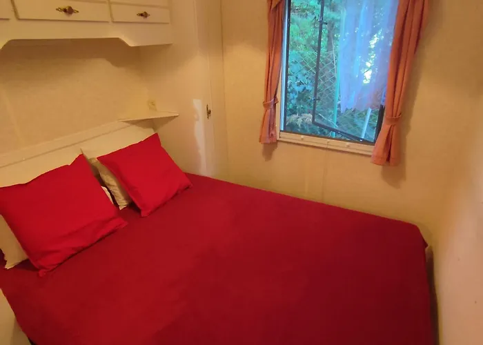 Rakos-Patak Camper Home Garden & Free Parking